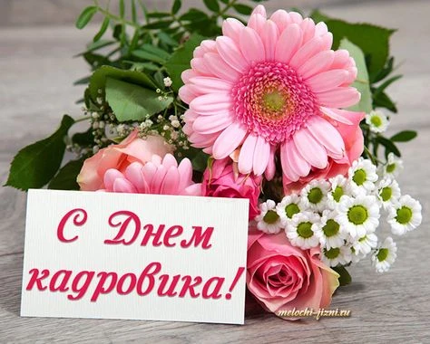 🗂️ День кадрового работника в России