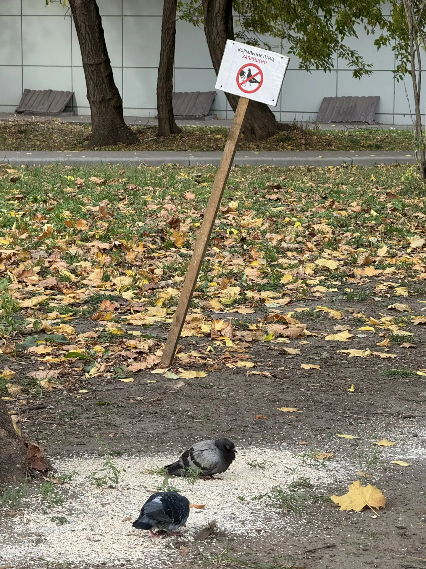 📍ул. Матвеевская, 8