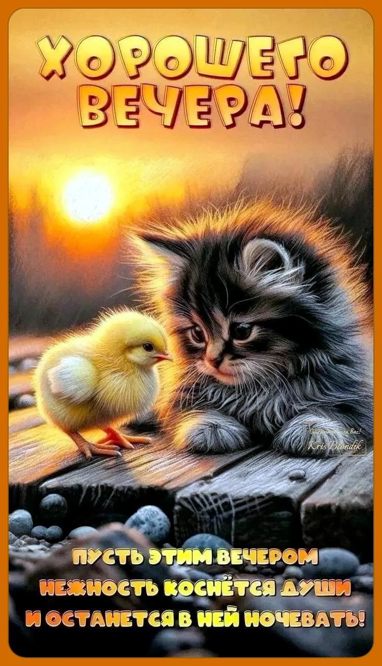 Милые открытки 😊 подписаться