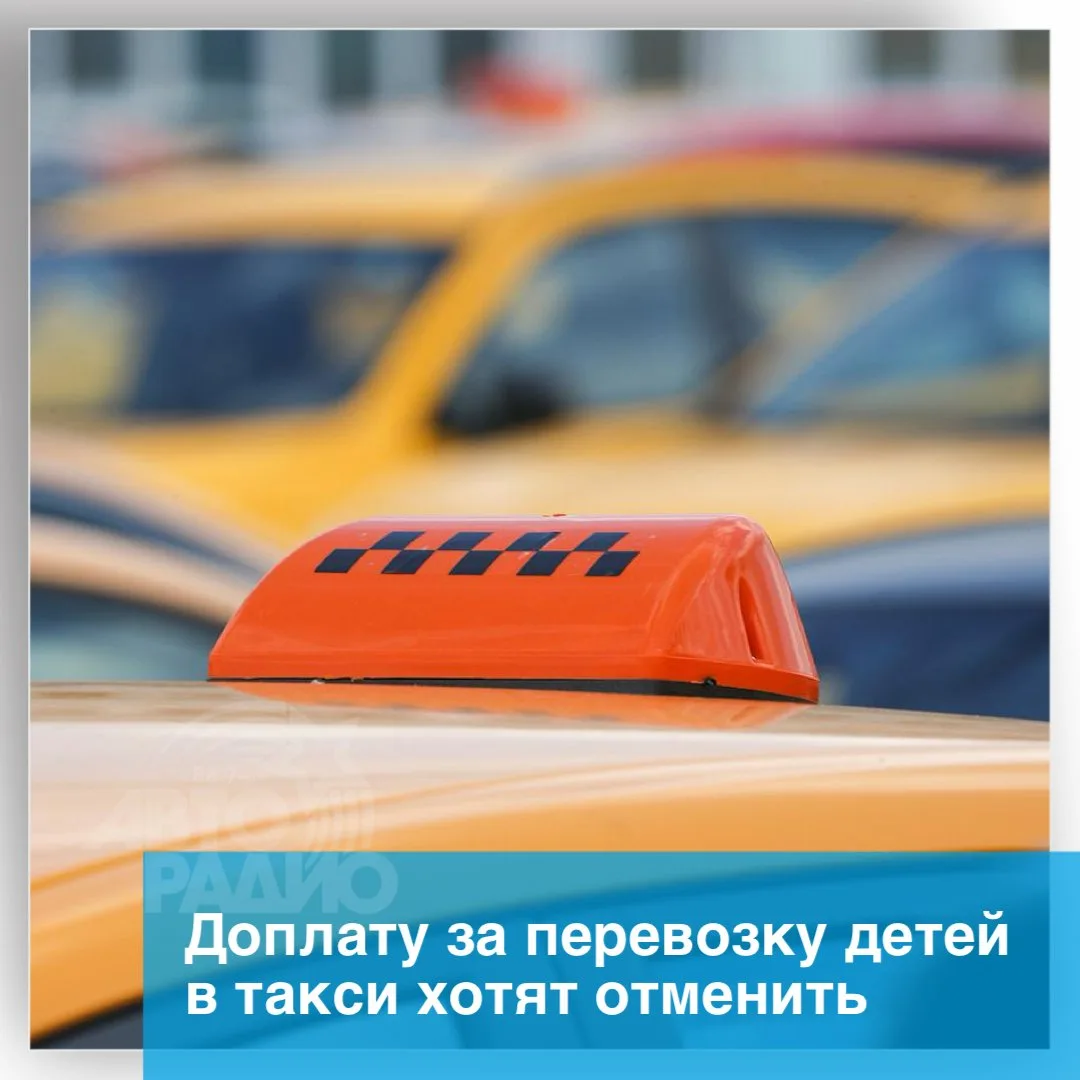 Минтранс готовит законопроект, который должен отменить дополнительную плату за детский ...