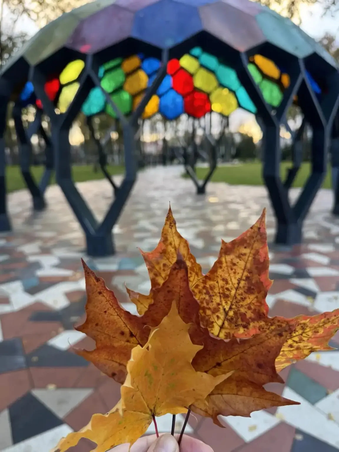 Добрый вечер, друзья🍁