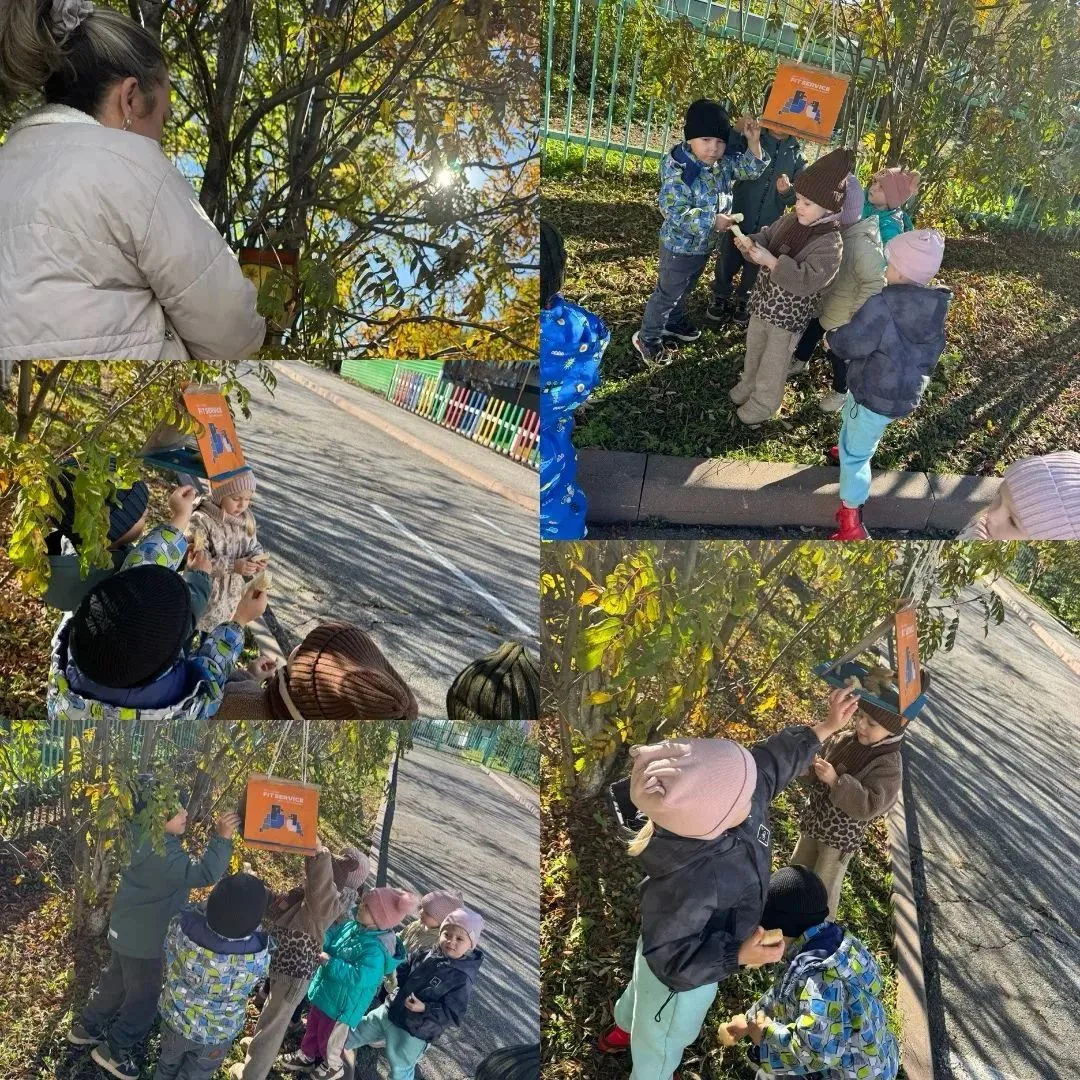 🐦🌞 Ребята группы «Ромашки» на прогулке вместе с воспитателем покормили птичек 🍞🐦. Д...