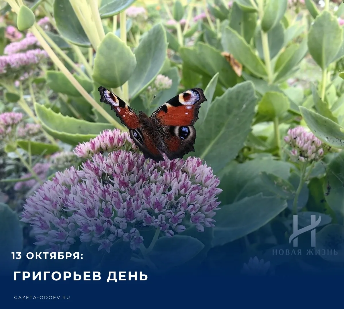 ☁️ Сегодня, 13 октября 2026 года, на территории Одоевского без осадков. Столбики термом...
