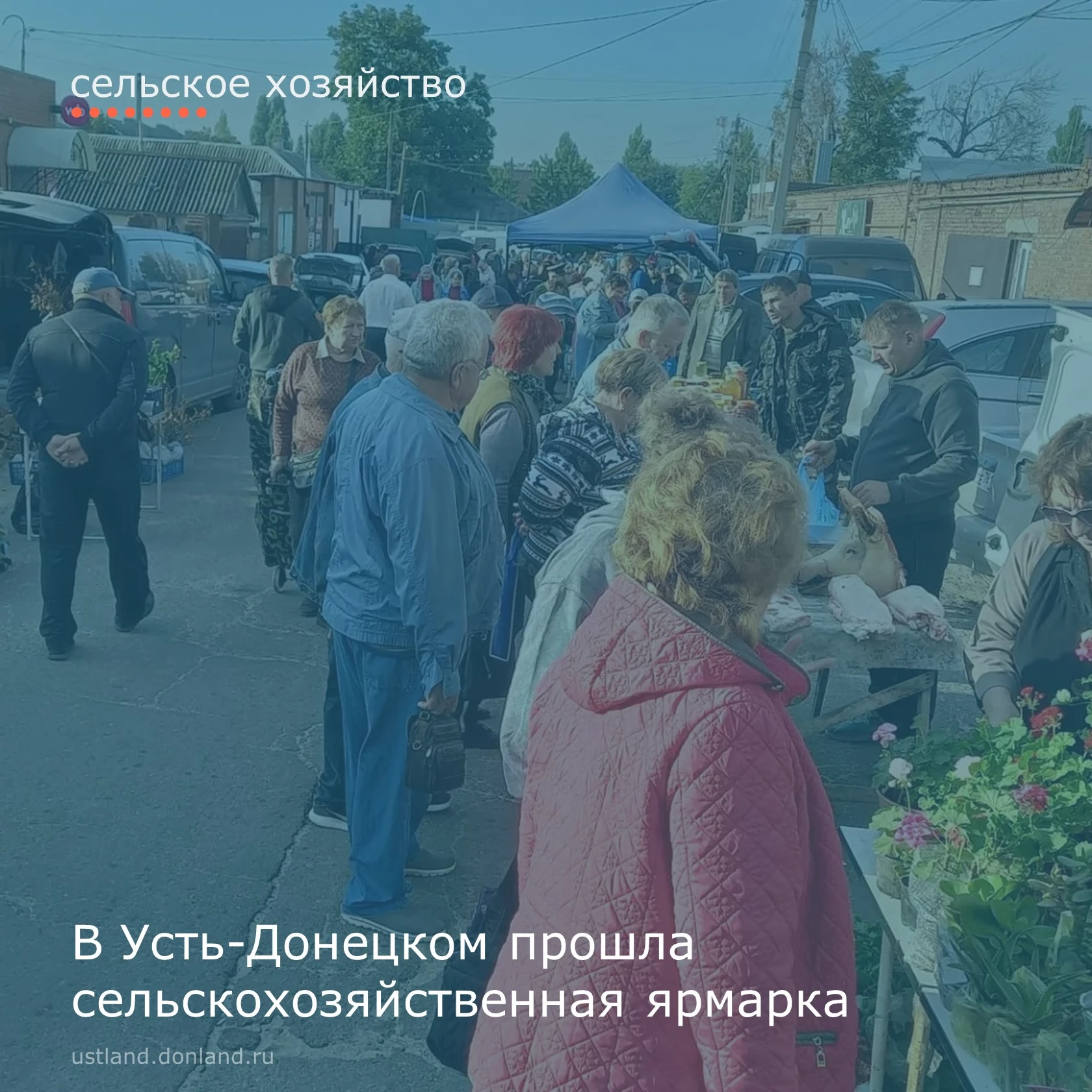 Жители и гости района могли приобрести овощи, мясную и молочную продукцию, рыбу и много...