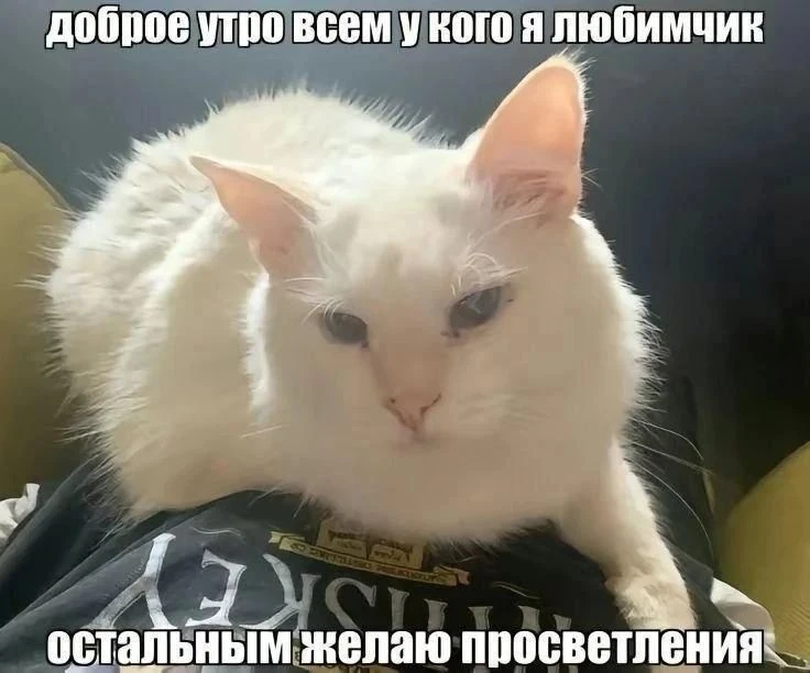 КОРОМЫСЛО