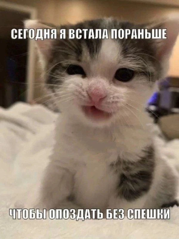 15 октября, четверг, Ставрополь