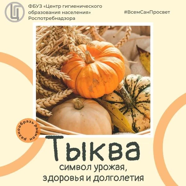 Разнообразь рацион! Выбери тыкву🎃