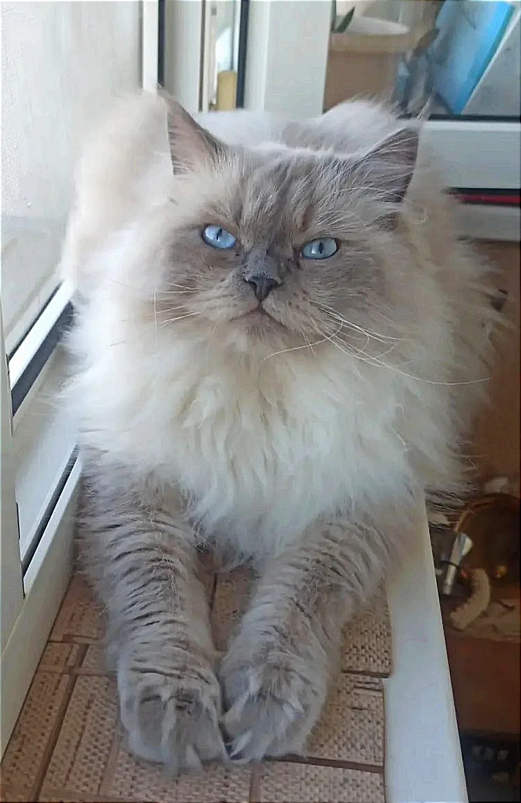 Когда Ты самый важный!😻😻😻