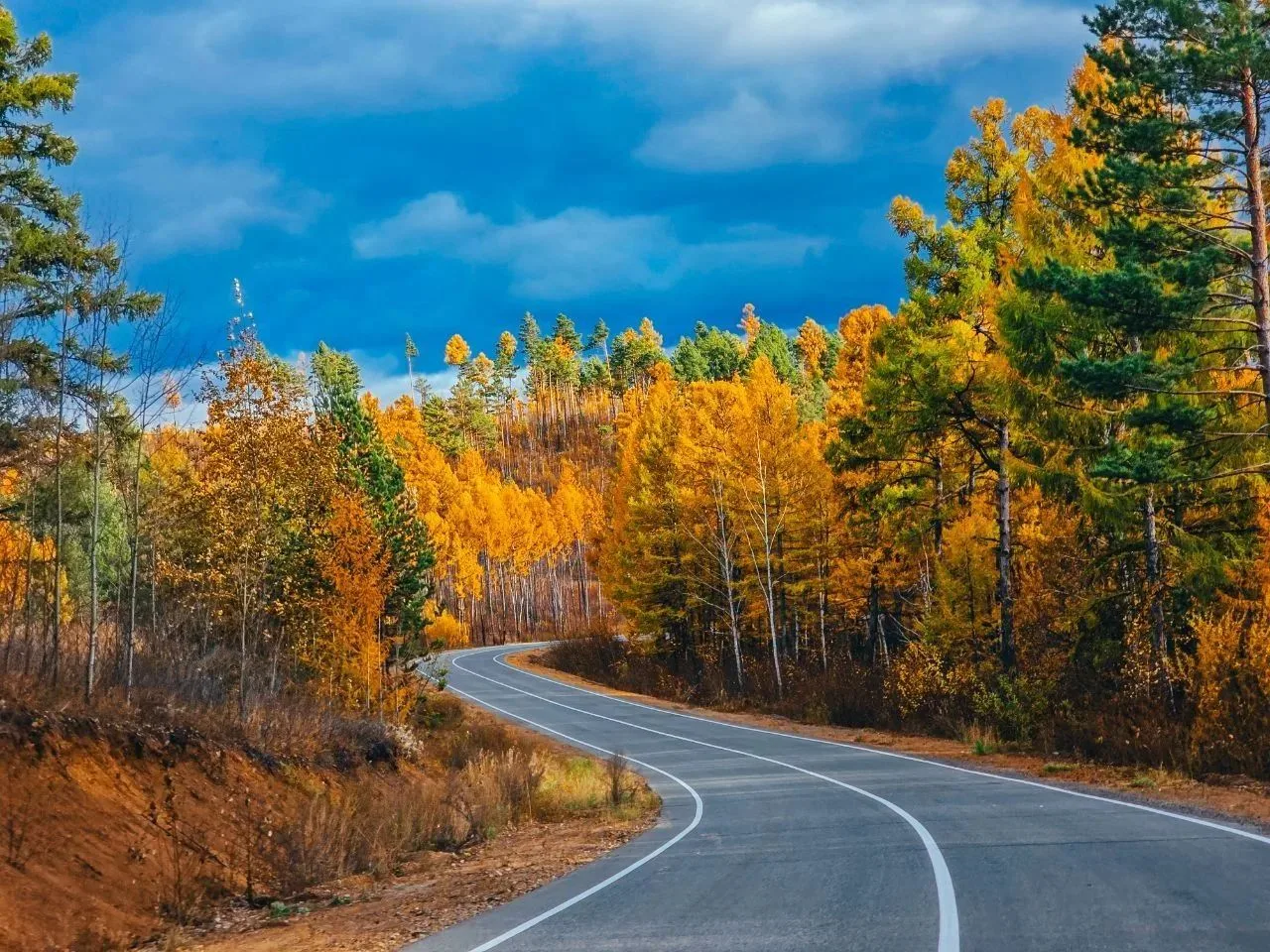 Осенняя дорога в Забайкалье 🍁
