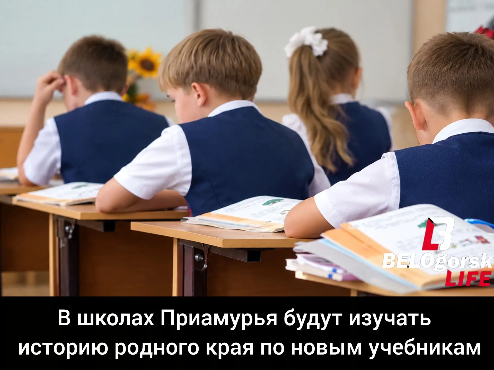 В Амурской области разработали новую линейку единых учебников «История родного края», к...