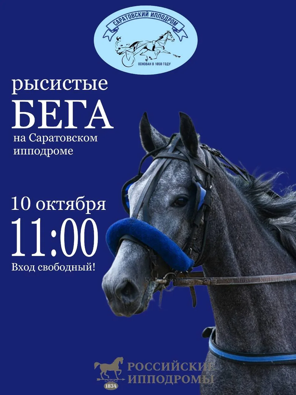 Бега на ипподроме завтра