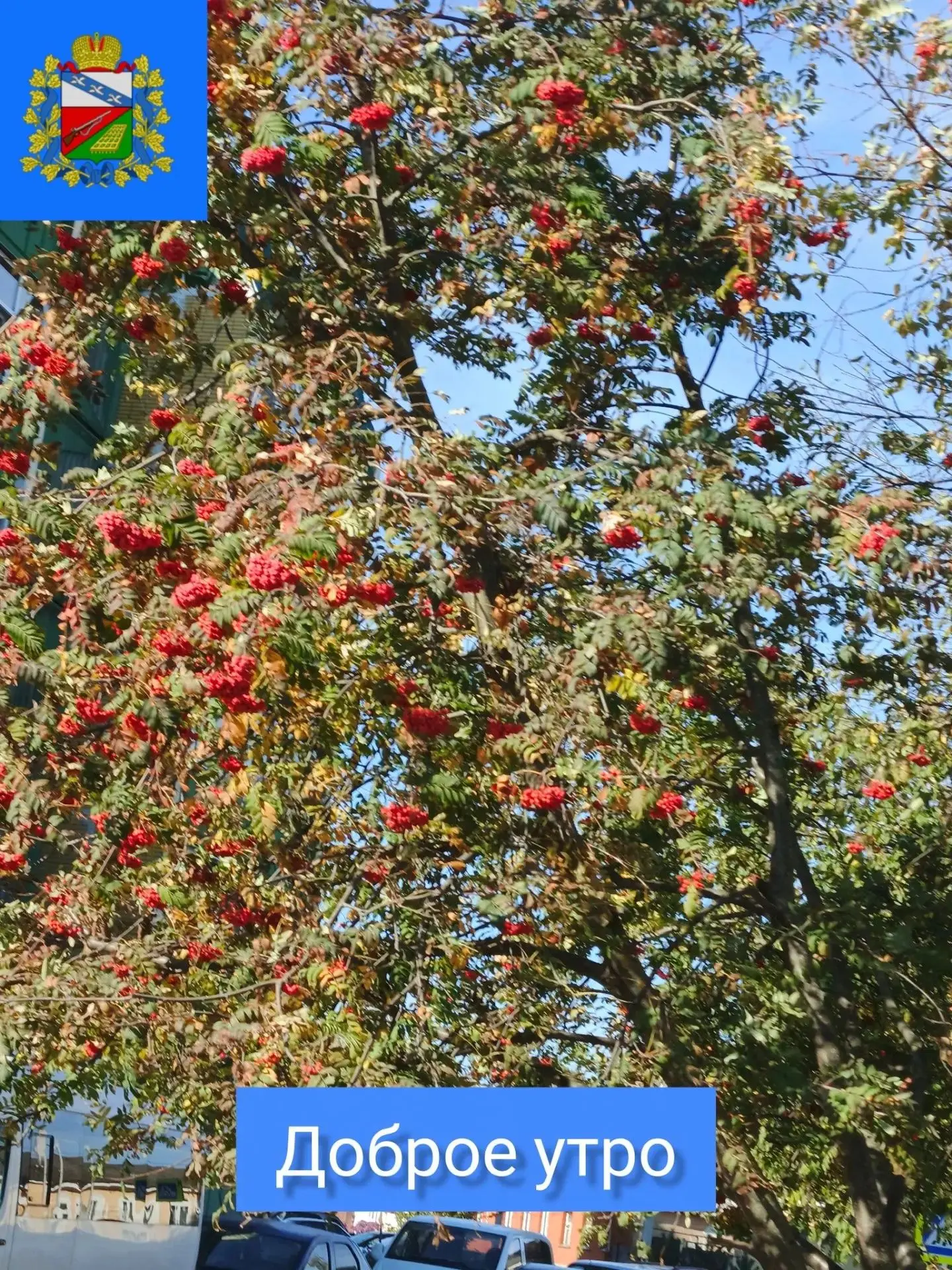 🍂ДОБРОЕ УТРО