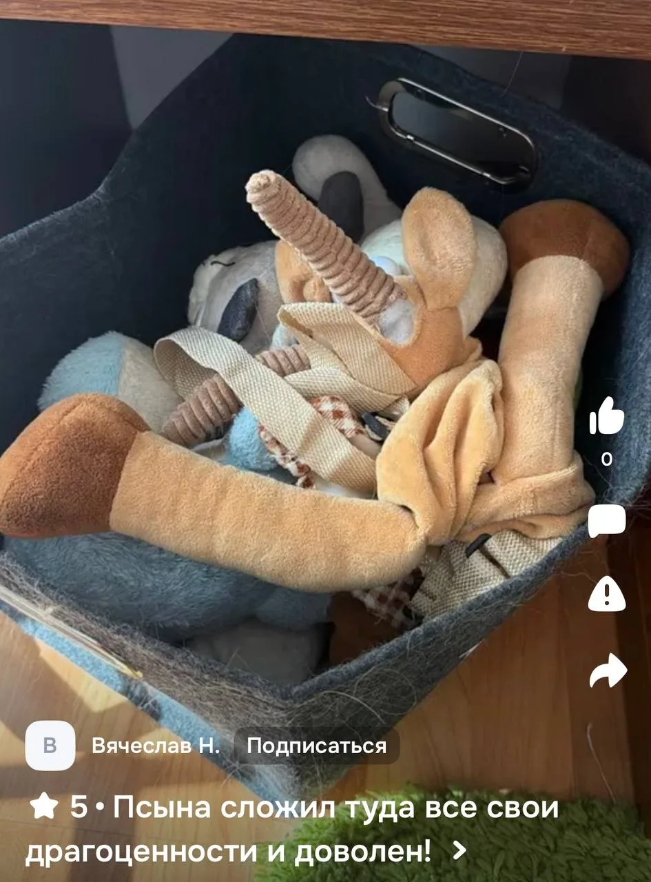 🎏Корзина под игрушки для собак