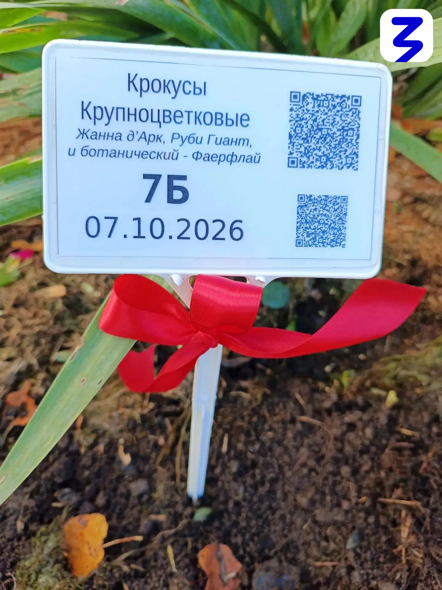 🌀 «ВЕТЕР ПЕРЕМЕН» 🌀
