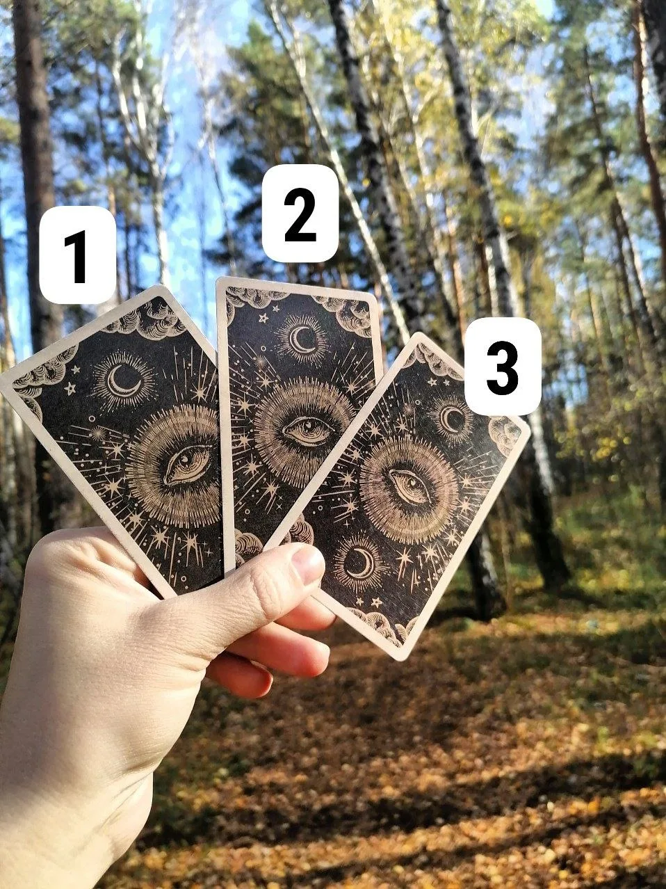 Что принесёт Новолуние?