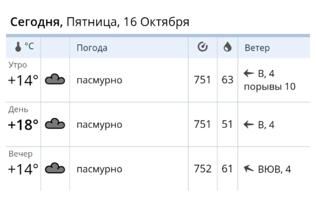 В 06:00 на метеостанции «Елец» было +10.9°C, облачно, дымка, ветер северо-восточный 2 м...