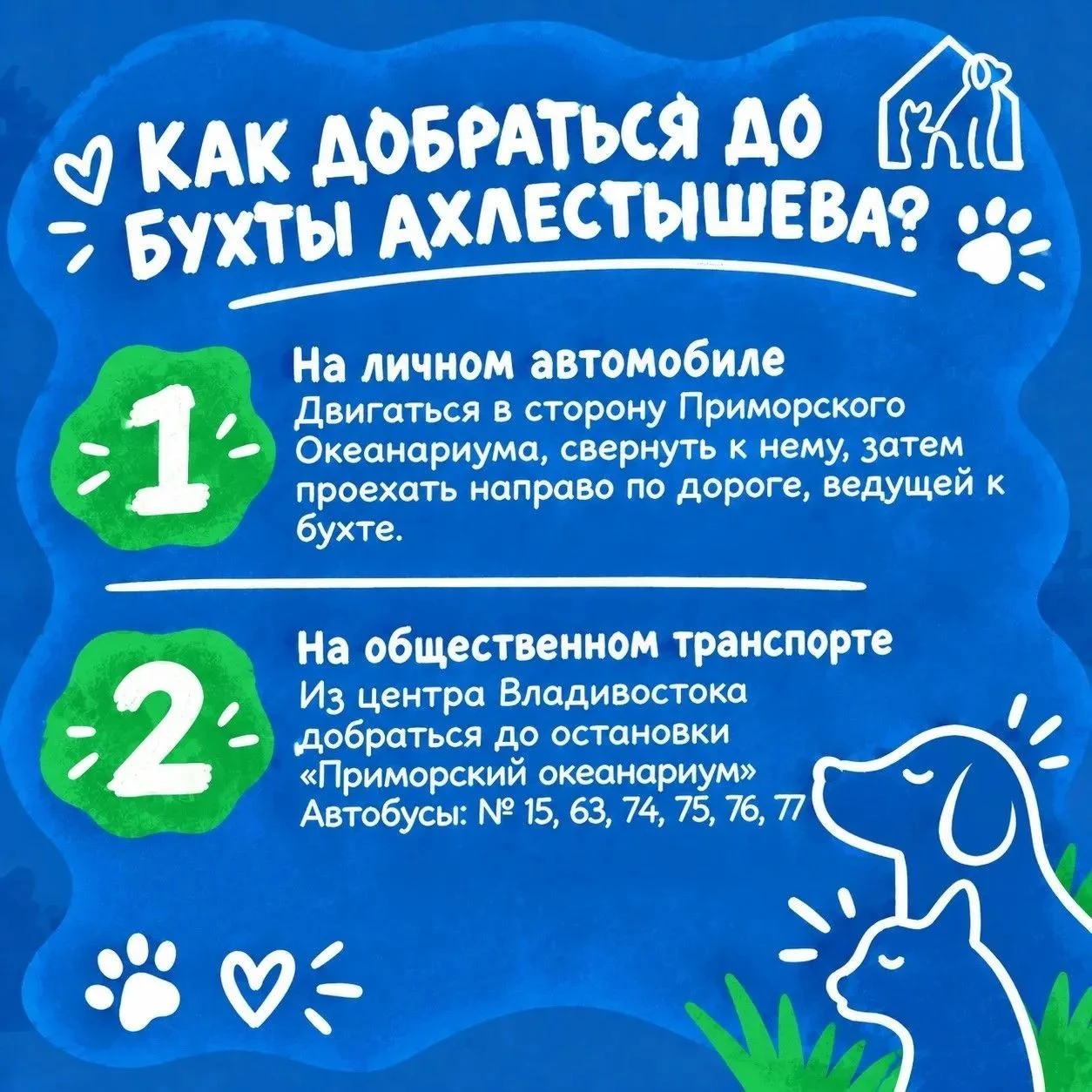 ✅Уже завтра пройдет фестиваль «Собаки города_В».