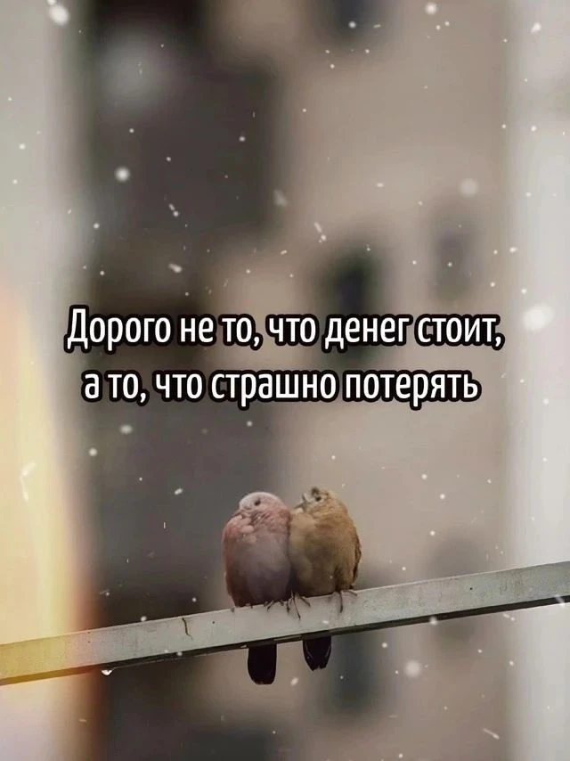 Цените и любите...