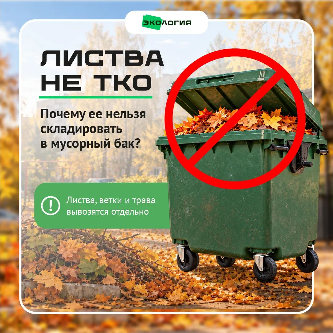🍂Региональный оператор АО "Экология" напоминает жителям, что листва, ветки, корни, бот...