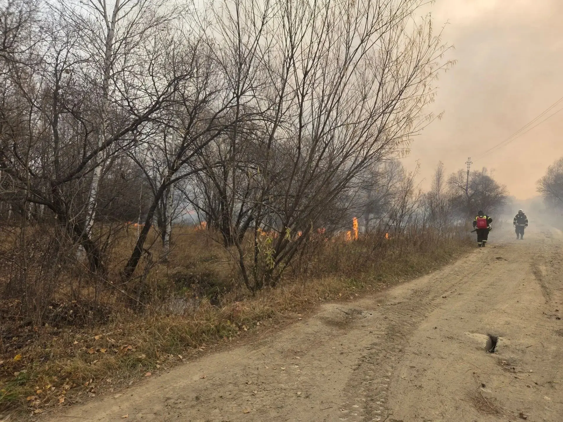Лесной пожар в районе Побединского сельского поселения полностью ликвидирован
