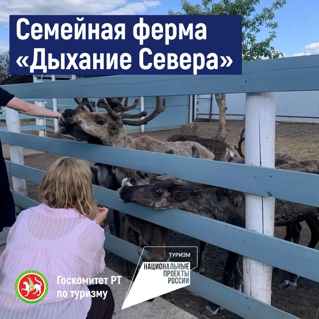 ⚡️Семейная ферма «Дыхание севера» в Елабужском районе расширила возможности для приема ...