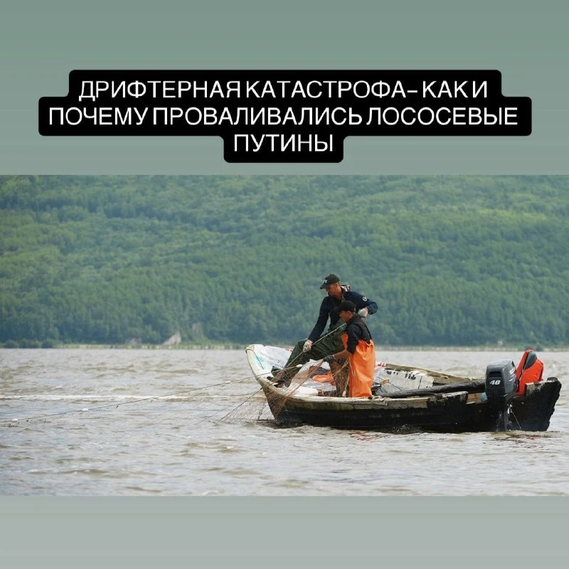🐟 Лосось на Амуре начал исчезать ещё при царе