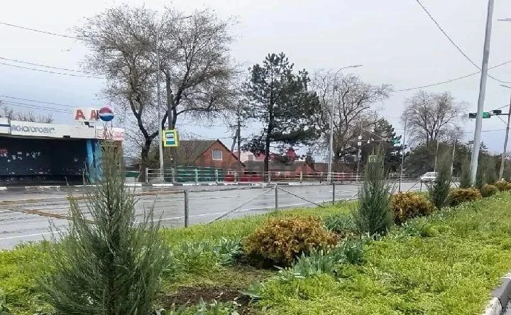 В субботу, 17 октября, в Азове и Азовском районе пройдёт общегородской субботник, совме...