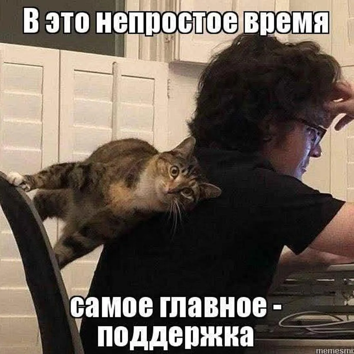 ⚡️️В Севастополе выделили 8,5 млн рублей на развитие фермерских хозяйств — Михаил Разво...