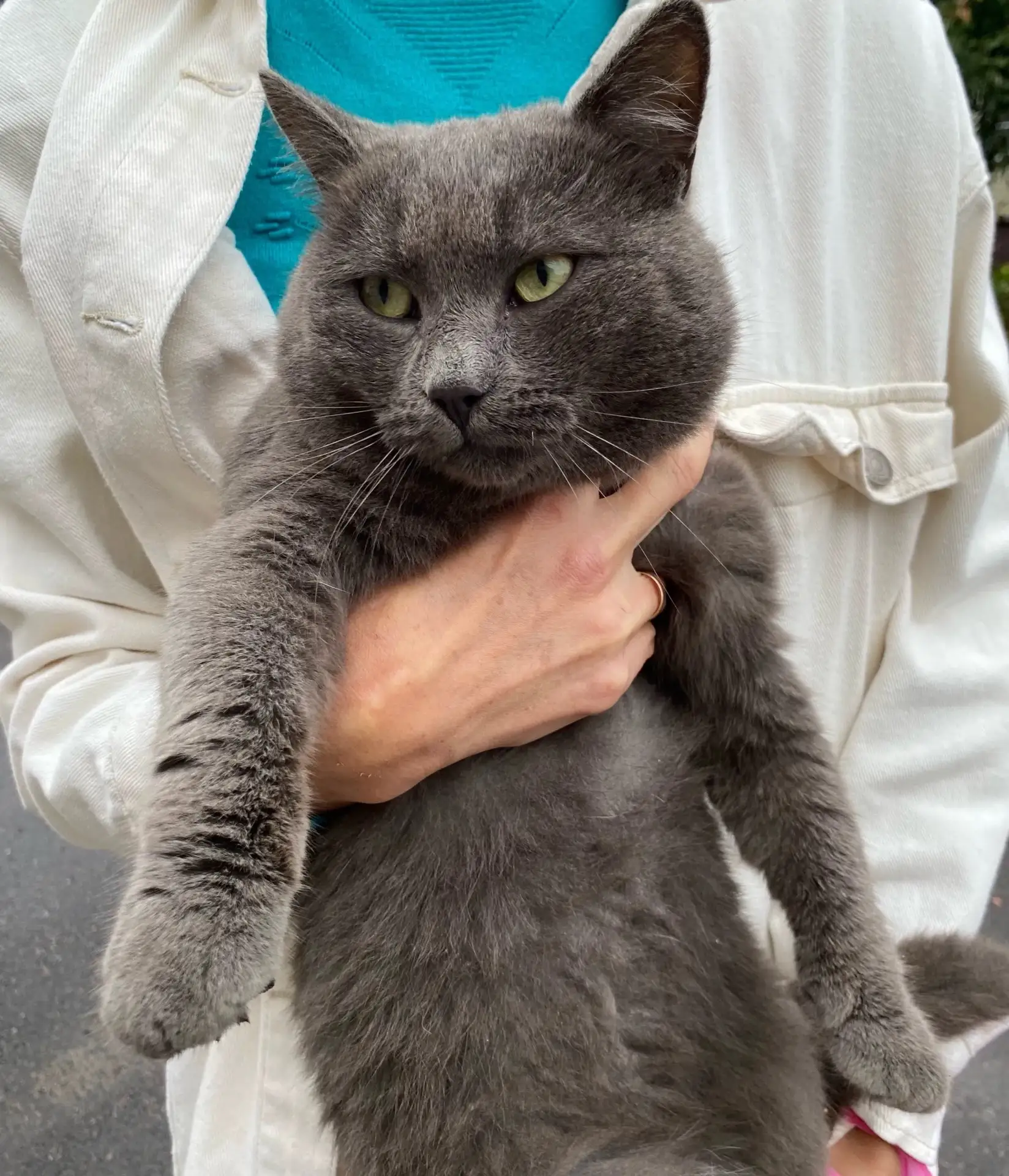 💌Ищем дом для котика!