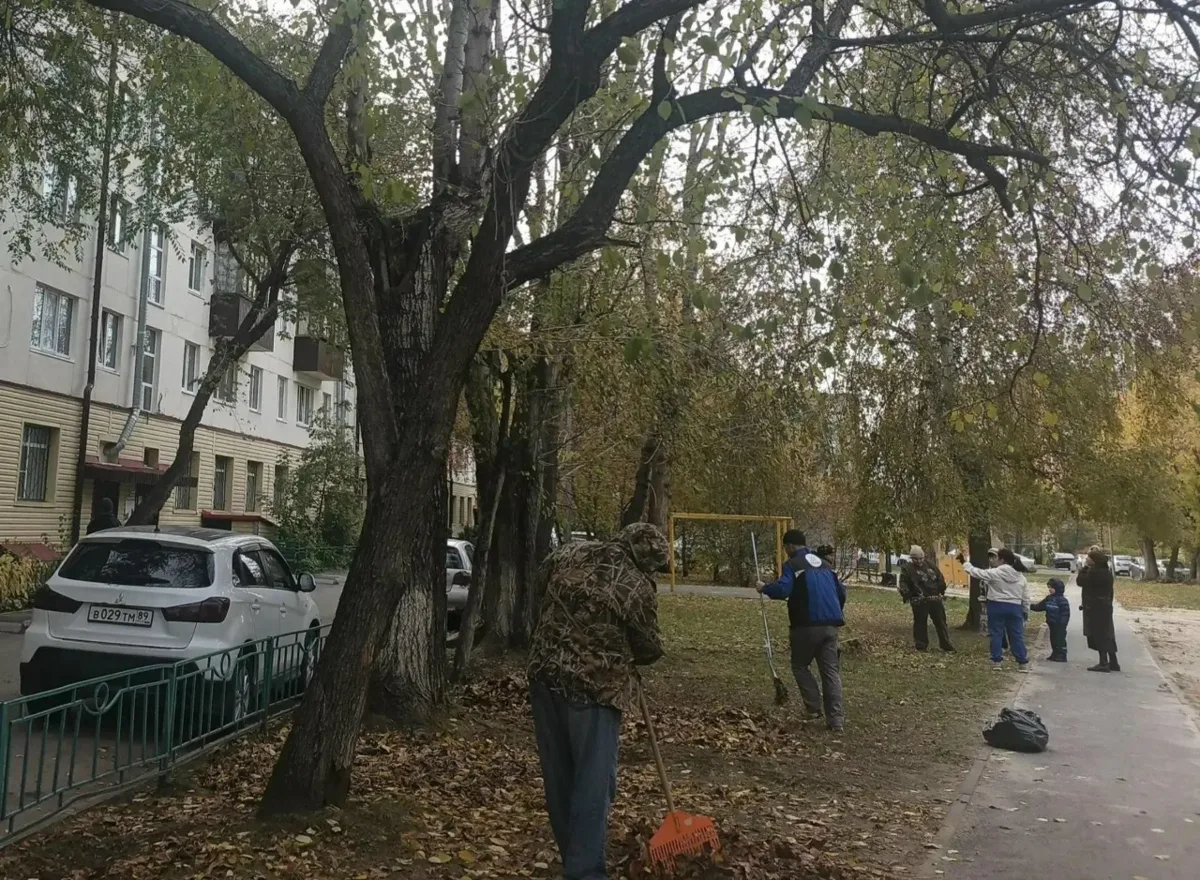 Управляющие компании навели порядок в тюменских дворах