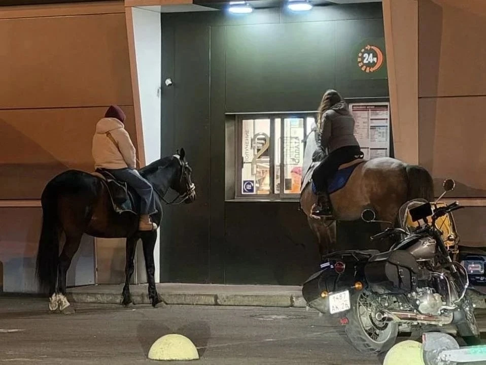 🐴 Кони у «МакАвто» — петербургский колорит