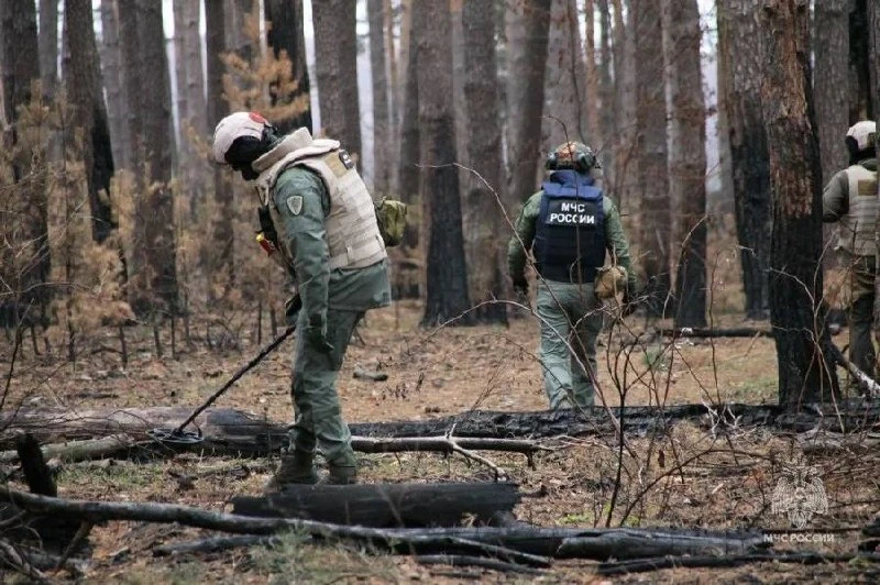 ❗️В Курской области спасатели обезвредили 3 взрывных устройства