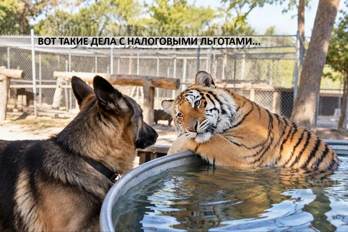 О ЛЬГОТАХ НАЛОГОВЫХ ЗАМОЛВИТЕ СЛОВО