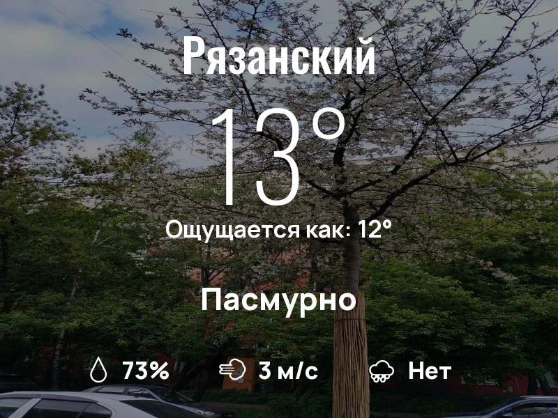 Что с погодой в Рязанском?