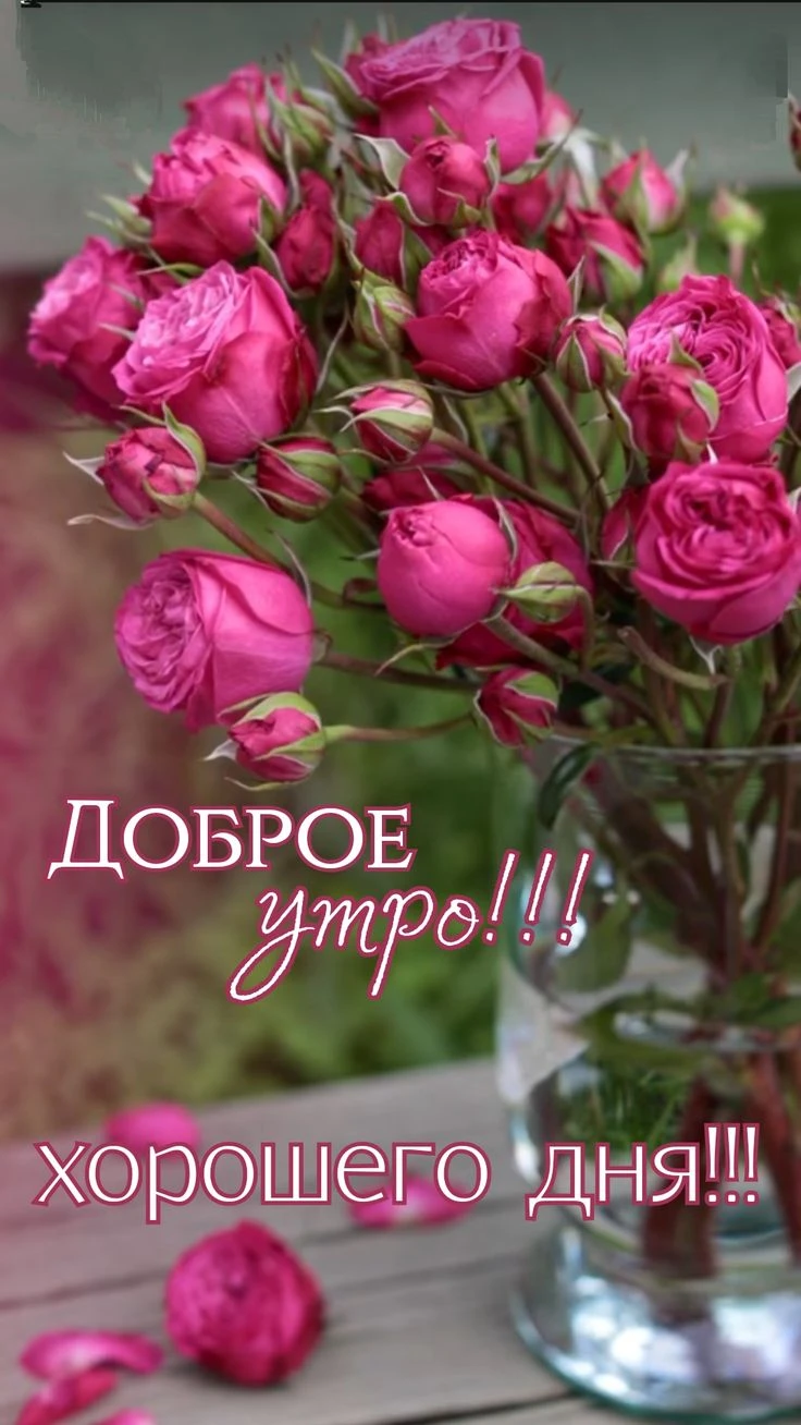 Подпишись 👇