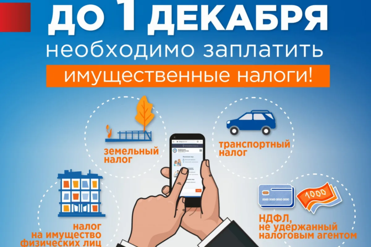 📬 Налоговая кампания началась: более 90% уведомлений жителям Новосибирской области нап...