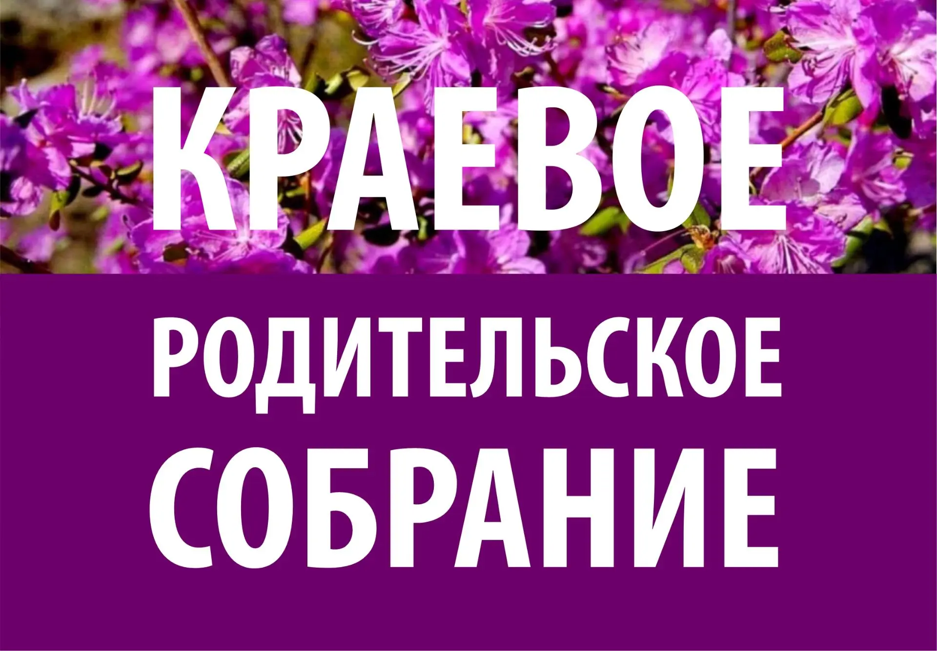 8 октября в 18:30 состоится Краевое родительское собрание на тему «Аттестат + первая пр...