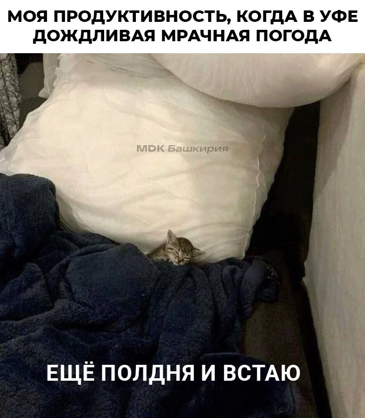 У вас так же?