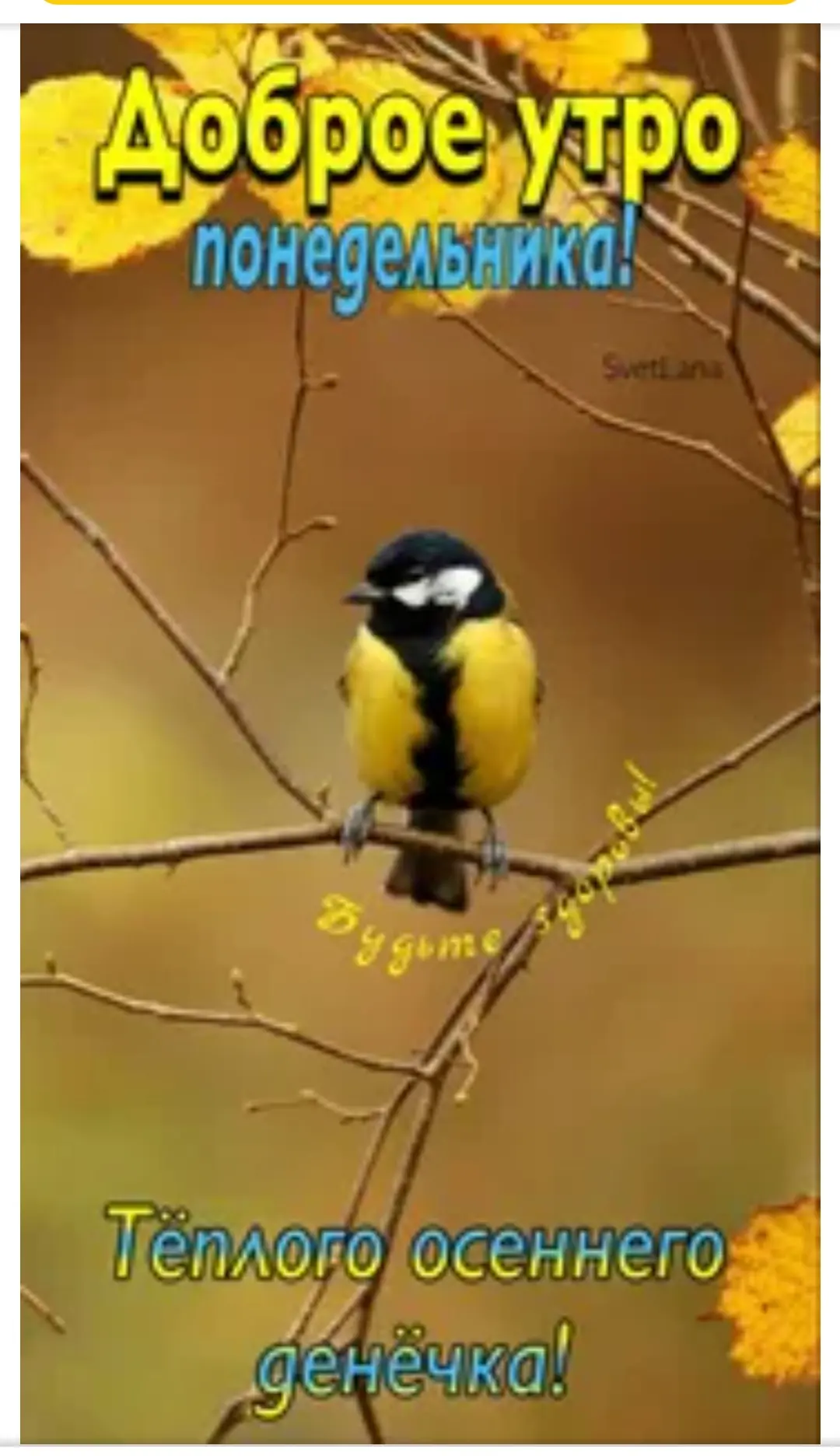🍂🍂🍂Доброе утро!