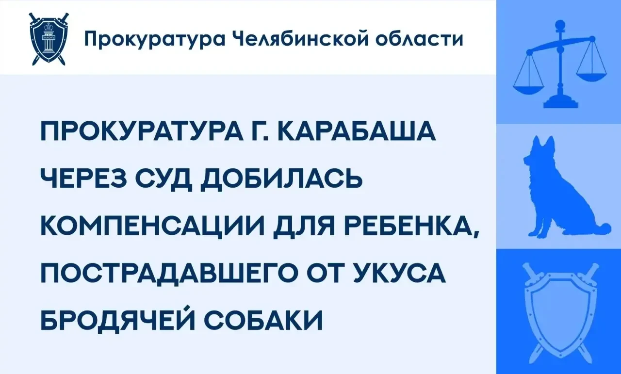 ⚖️ В Карабаше ребенку выплатили 100 тысяч рублей после укуса бездомной собаки