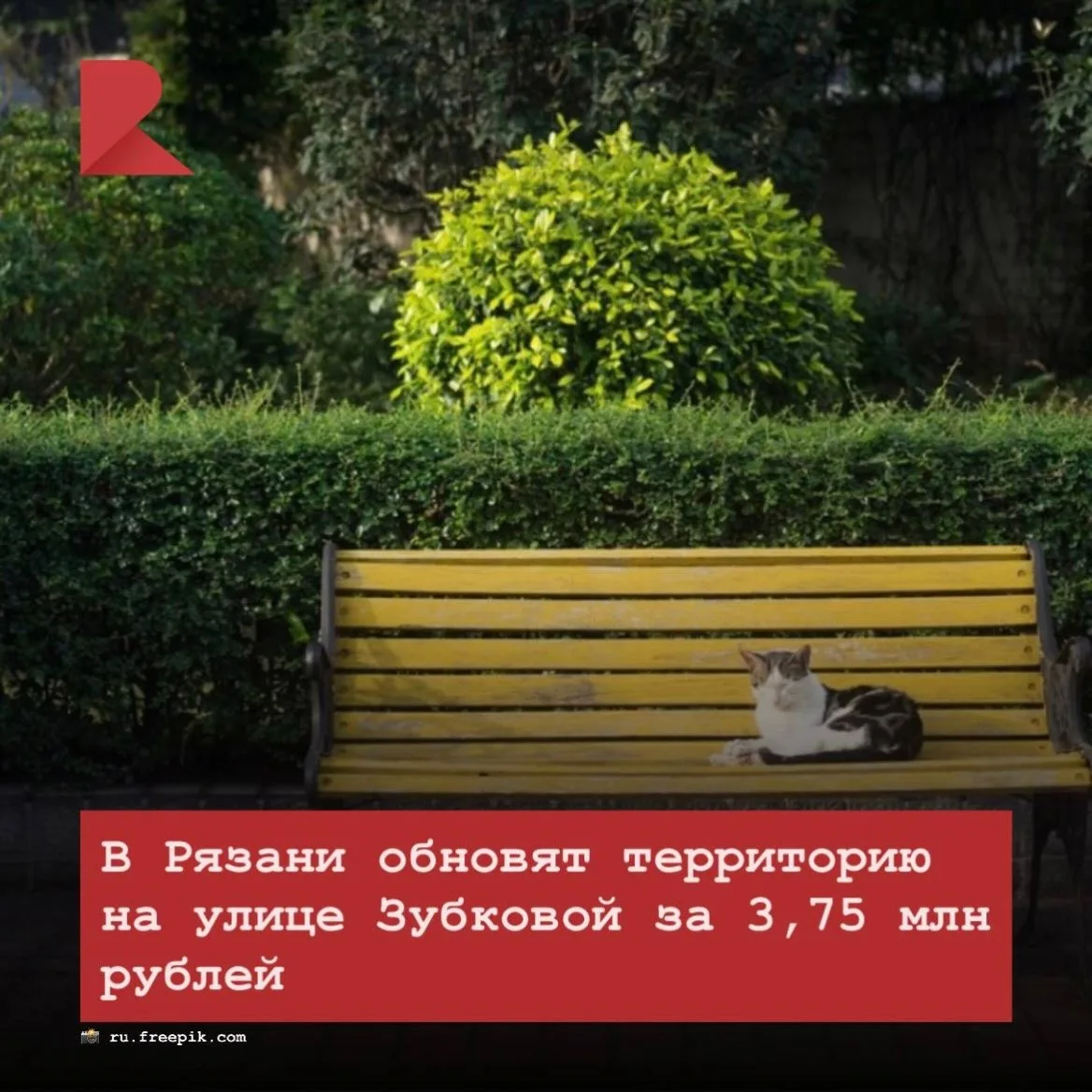 🌳 В Рязани за 3,75 млн рублей благоустроят территорию у дендропарка на улице Зубковой....