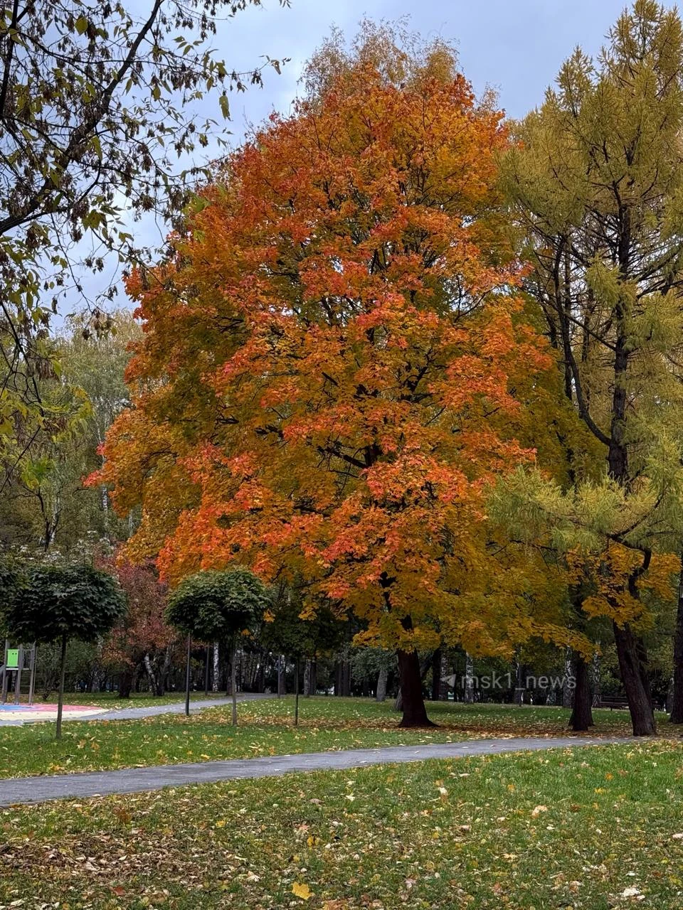 Краски октября 🍁