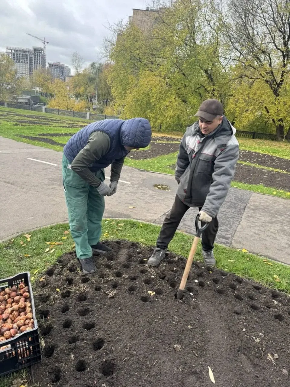В парке Яуза начали готовить клумбы к весне. Планируют посадить больше 90 тысяч луковиц...