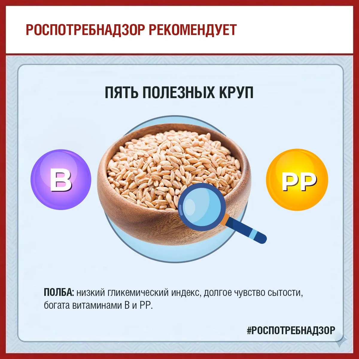🌾 Пять непопулярных, но полезных круп – добавляем в рацион!
