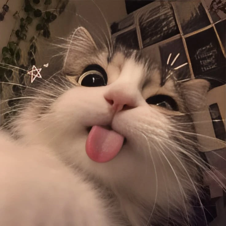 Милая подборка фоточек с котиками🐈❤️*