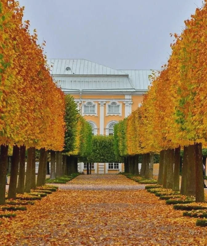 Вход в Нижний парк Петергофа станет бесплатным