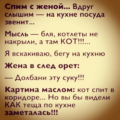 Кухонный блокбастер... 😂🤣😂