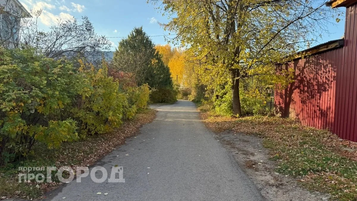 В Новочебоксарске задержалось лето. 13 октября столбики термометров поднимутся до 20 гр...