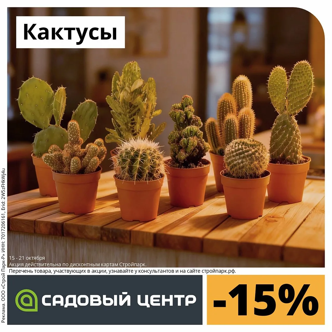 Акция!