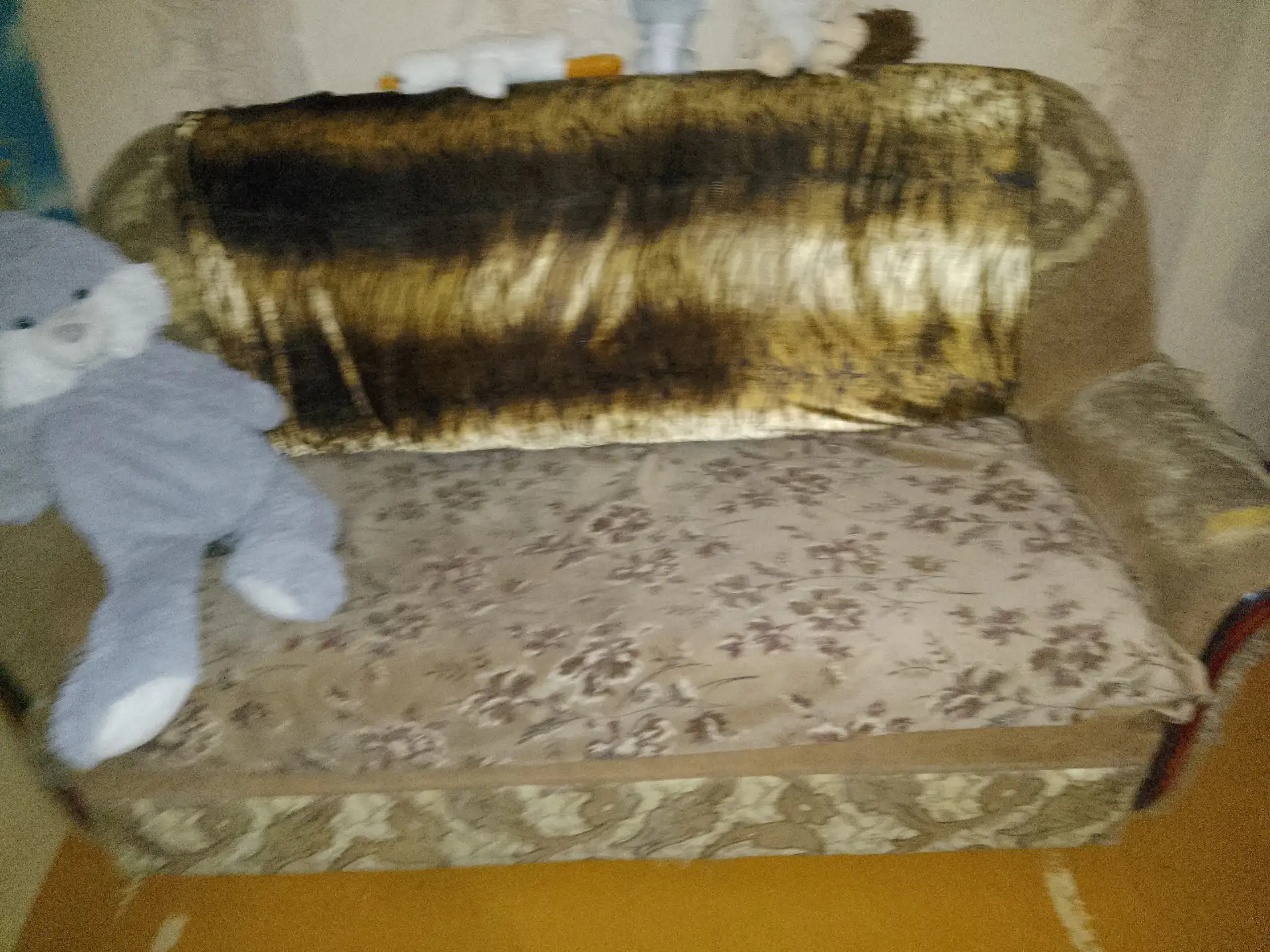 Даром